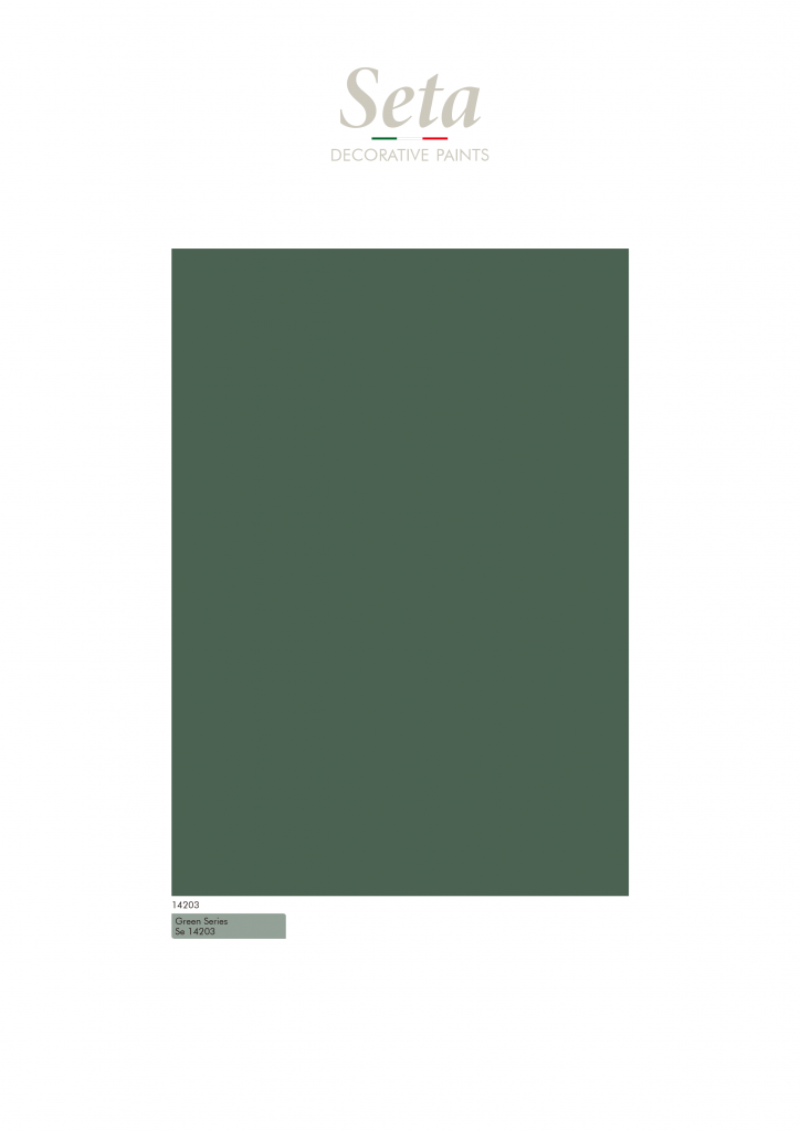Seta-4（3）